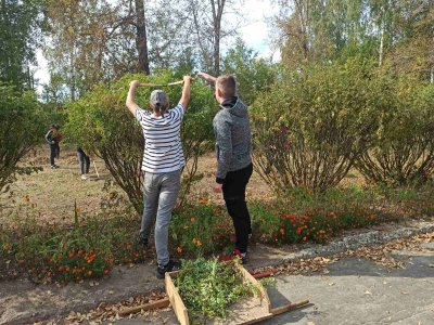 Трудовой практикум. Облагораживание пришкольной территории