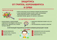 О рекомендациях школьникам как защититься от гриппа, коронавируса и ОРВИ